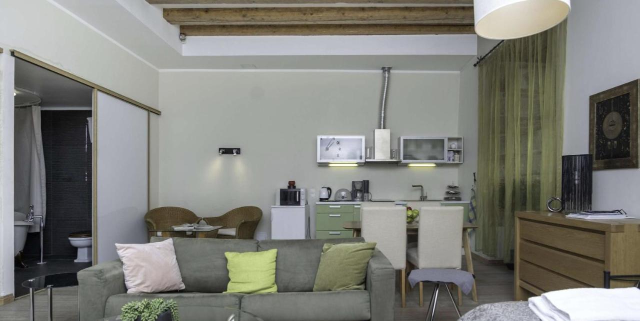 Spacious Studio Apartment In The Heart Of Old Town Tallinn Buitenkant foto