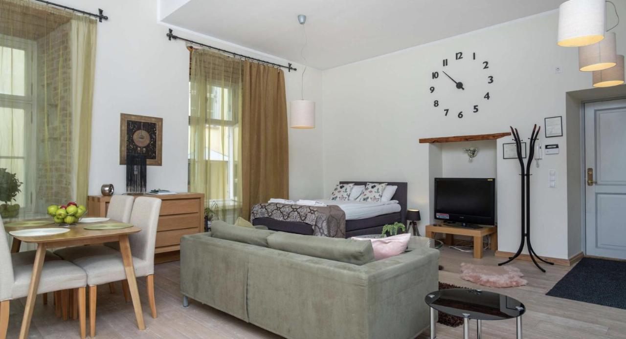 Spacious Studio Apartment In The Heart Of Old Town Tallinn Buitenkant foto